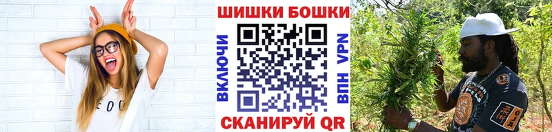 A PVP Арамиль