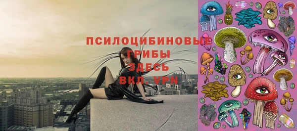 винт Алексеевка