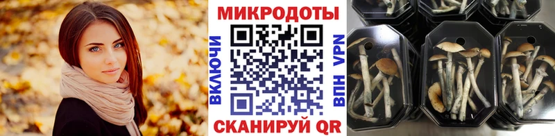 Галлюциногенные грибы Psilocybine cubensis  omg ONION  Арамиль  купить  сайты 